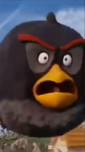 angry birds meme