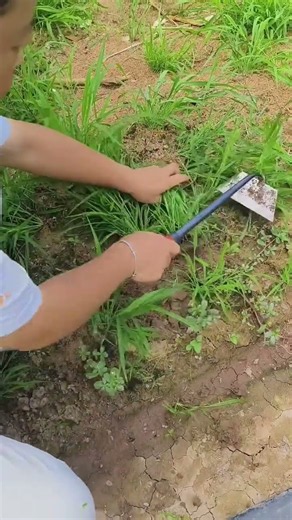 Smart Gardening Hacks: Clearing Grass in Seconds! 🚜