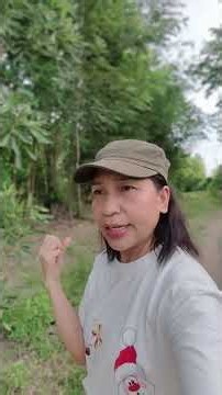 มีที่ดินแต่ไม่มีคนดูแล ควรปลูกอะไร? 3 ต้นไม้ที่น่าปลูกไว้ในสวน