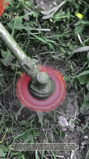 Better Than Nylon String? Testing the 6-Blade Grass Trimmer Head