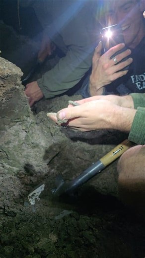 6.3K views · 113 reactions | We found a massive prehistoric tooth from an extinct Angustiden shark! This fossil tooth dates to the Miocene period, and would've been from a shark that was around 30 feet long! Amazing time and some great finds at Meg-Fest. Palmetto Fossil Excursions | RelicRiley | Facebook