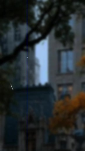 Best Friends: Mirrors and Shadows