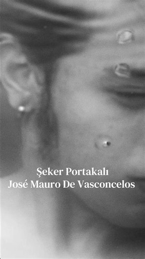 Şeker Portakalı- José Mauro De Vasconcelos