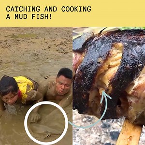 166K views · 2.8K reactions | Survival – How To Find Food In A Mud Pond & Cook It! | Primitive Cooking KT Food | Facebook