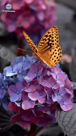 Magic Touch! Flower Se Flower Tak Color Ka Jadoo #shorts #ytshorts #nature