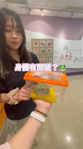 #無常#frog#animal#hornedfrog#pacmanfrog#frogpet#petfrog#froglover#カエル#青蛙#角蛙#台大#froglovers#pet#🐸#love