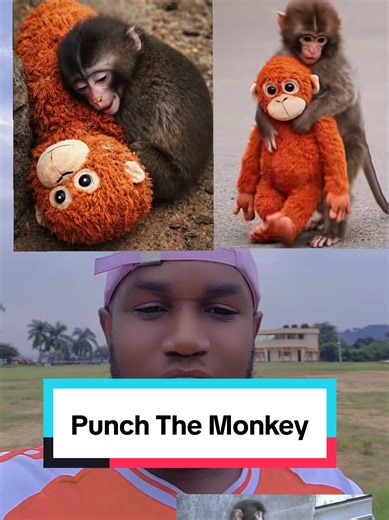 Bro has Really suffered #punchy #punch #monkey #otfdoll | punch monkey plush