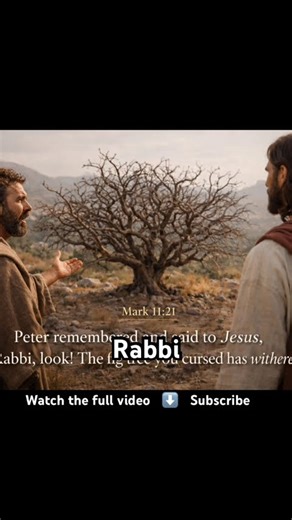 Intro to full episode on why did Jesus curse a fig tree #biblestories #biblestudy