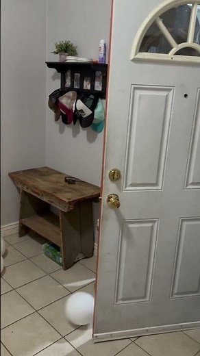 (RARE FOOTAGE) SCARY LARRY BREAKING AND ENTERING!?!?