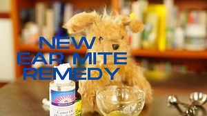 Scratching Ear with Ear Mites? Great New Remedy! - Veterinary Secrets with Dr. Andrew Jones, DVM