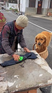 This dog is so caring and intelligent. | Amazing World