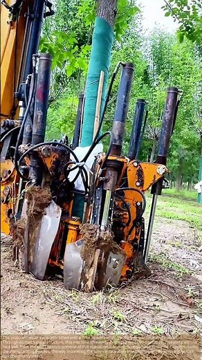 Relocating a Full-Grown Tree in Seconds