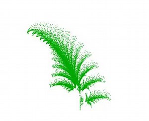 Nature’s got patterns. Let’s code them. 🌿 | MATLAB