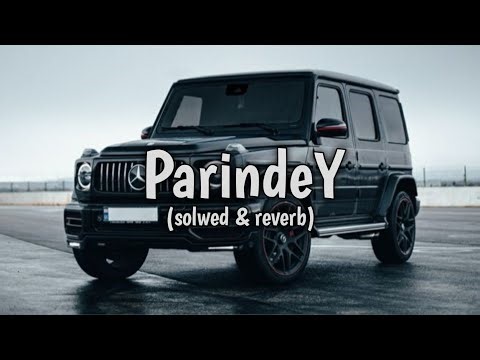 PARINDEY ( solwed & reverb) Sumit Goswami | New Haryanavi songs | official video