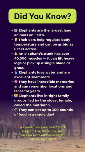 7 Mind-Blowing Elephant Facts You Never Knew 🧠