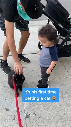 he’s gonna grow up to be such a kinda cat person 🥹 w/ Kat Curtis | One eared uno