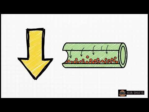 Plant Growth and Development: Auxins, Tropisms and Defence Mechanisms | Grade 12 Life Sciences CAPS