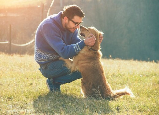 Pet Myths: Are Dogs Really Man's Best Friend?
