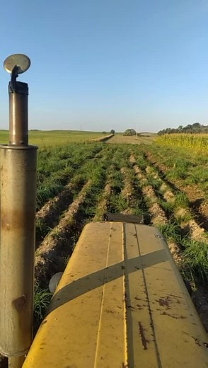 #wykopki #wykopki2021 #ursusc360 #szymanek_2001