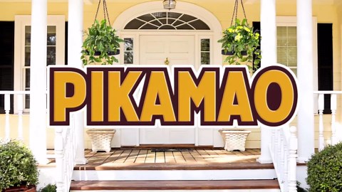 Plant Hanger Indoor Outdoor, Hanging Planter Baskets for Outdoor Indoor Plants, Hanging Plant Holder Plant Shelf Metal Window Plant Hanger, 3 Pack