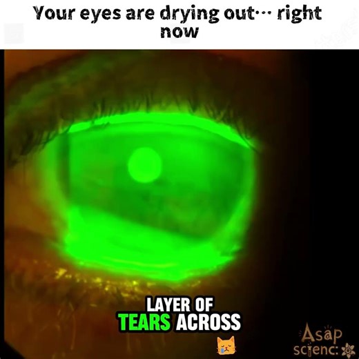 What Happens If You Don’t Blink? (Eye Science Explained) #sciencefacts #didyouknow