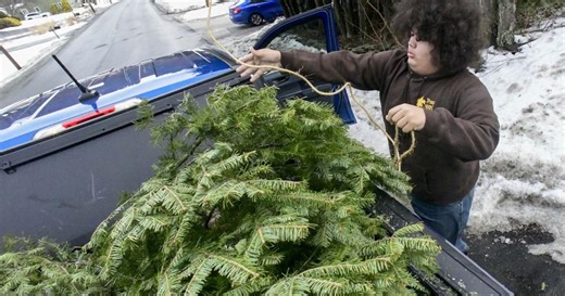 Collecting trees for a cause