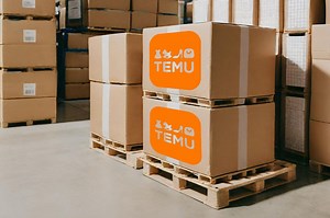 Temu Pallets: The Fake Liquidation