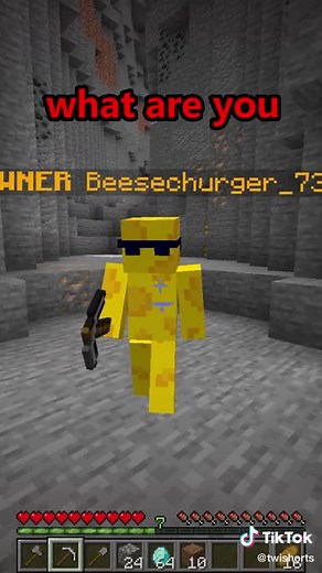 Minecraft, but I can't stop singing! @beesechurger_73 🤯 #minecraft #mcyt #minecraftmusic #minecraftmemes #jojo #viral