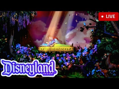 #LIVE Disneyland Fun and Fancy Free, Rides, Characters, New Merch