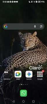 nosé como recortar video de ancho