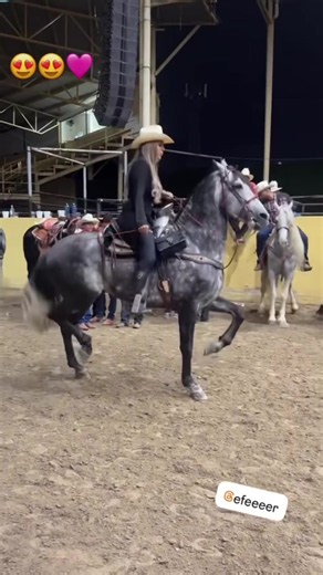 Caballos bailadores: videos y momentos del espectáculo