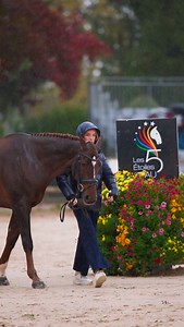 🎥 Shot on @canonuk EOS R1 at ISO 12,800 (with no rain cover 😅) Looks like this is another native iso (along the official 800) Excellent noise level 👌 perfect for beautiful slow motion in dark conditions 🐴 @emilykingofficial and Jackpot in @5etoilesdepau #eventing #rain #slowmo | MXIMD Pictures