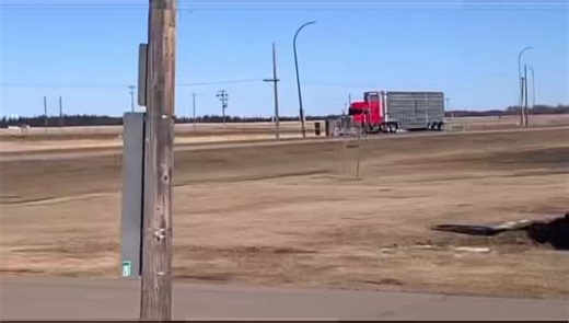 Bull Hauler and Bison Hauler Unloading | Bus Driver Experience