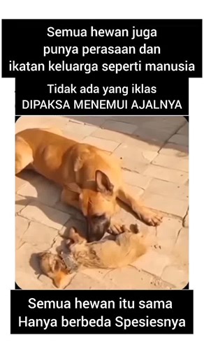 Vegan Lifestyle Promotion