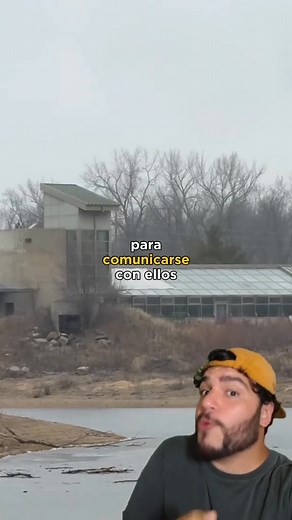 1.2K views · 51 reactions | HABLÓ CON BONOBOS #biologia #naturaleza | Biodextv | Facebook