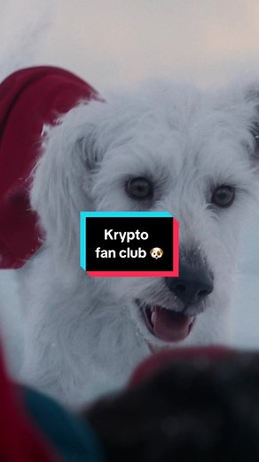 Delightful Moments with Krypto the Superdog