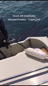112K views · 1.3K reactions | Shark off Chatham, Massachusetts - Cape Cod | Cape Cod, Massachusetts | Facebook