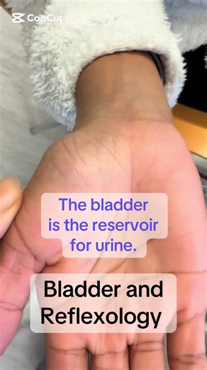 Bladder and Reflexology: The bladder is the reservoir for urine. In reflexology, we visually inspect the hands to assess what may be going on in the body, often even before the client tells us what may have happened to them. The hands are a mirror of the body. #HandReflexology #StressRelief #HealingHands #HolisticHealth #WellnessIreland