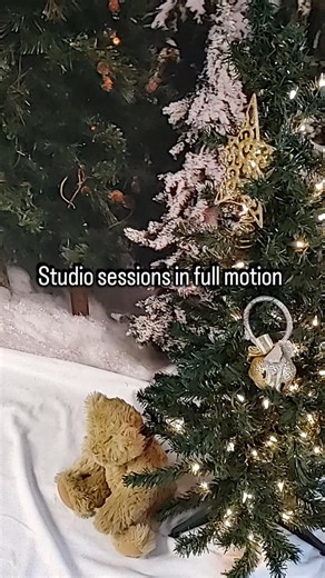 Photo sessions are being held mostly indoors again... But it has been fun getting back into studio work. | Photos by Bella