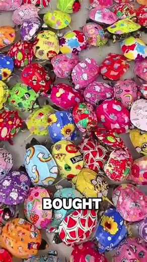 The Stickers Were Fake, but the Turtle Was REAL — and Now He Has a New Friend! 🐢❤️