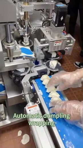Gondor Fully Automatic Dumpling Machine - Commercial Dumpling Machine Solution #foodprocessing