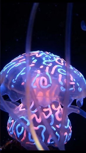 The Living Neon: Inside the Mystery of the Bioluminescent Jellyfish #oceananimals #jellyfish