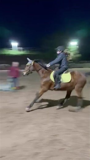 Shadow flying under the night lights! ✨🐎