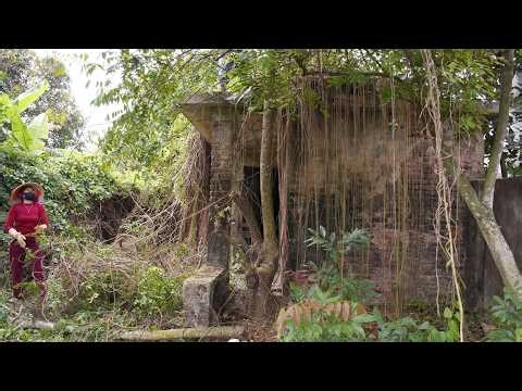 The young woman couldn't believe her eyes—this was her old house.