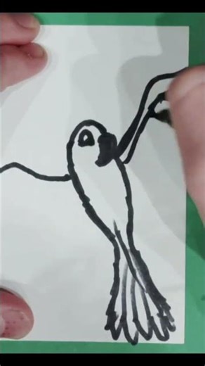 Another parakeet! drawing (and a lot more coming)