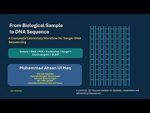From Biological Sample to DNA Sequence: A Complete Laboratory Workflow