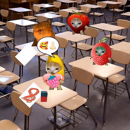 Baby Banana Cat School Day 😺❤️ #catmemes #cat #shorts #fyp #bananacat