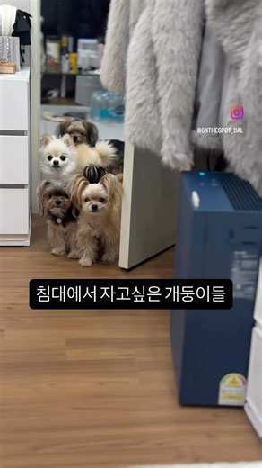 오케이 싸인 떨어질때까지 얼음 !