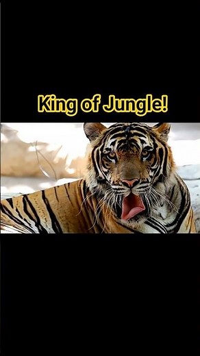 live bengal tiger #shorts#youtubeshorts#shortfeed