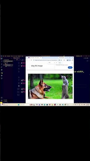 how to insert image in HTML5 #html #coding #frontenddeveloper #htmltutorial #learnhtml #programming